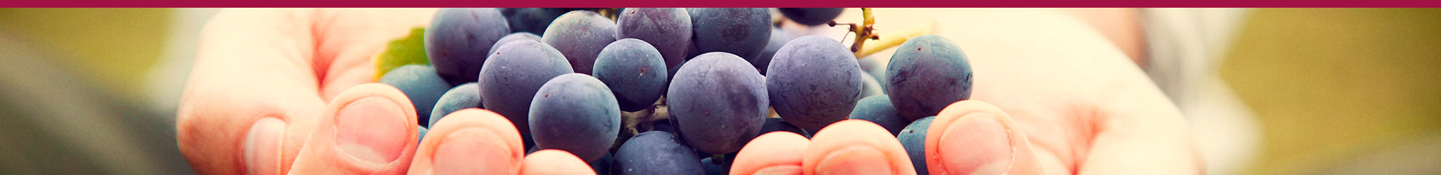 Photographie Il était une fois un vin